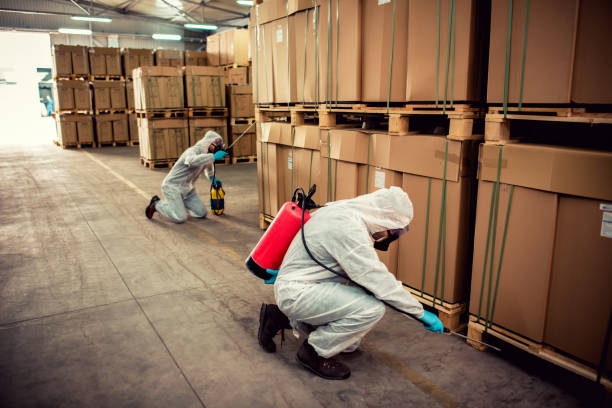 Best Rat Extermination Near Me  in Steilacoom, WA