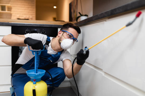 Best Pest Prevention Services  in Steilacoom, WA