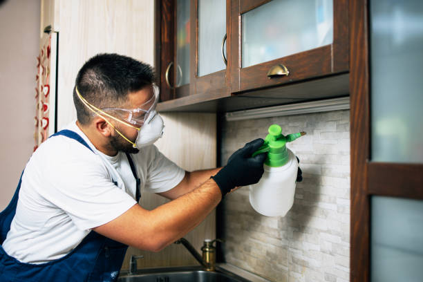 Best Affordable Pest Control Services  in Steilacoom, WA