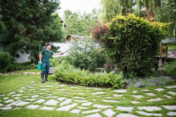 Best Ant Control Services  in Steilacoom, WA