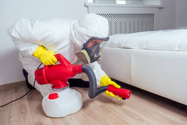 Best Affordable Pest Control Services  in Steilacoom, WA