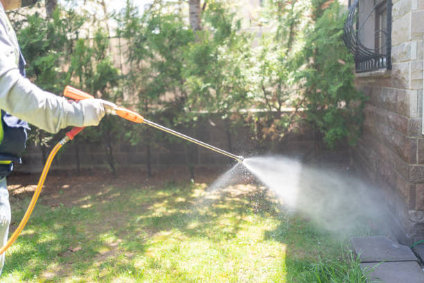 Best Local Pest Control Services  in Steilacoom, WA