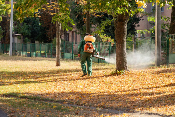 Best Cockroach Control Services  in Steilacoom, WA