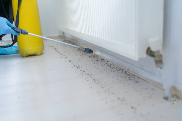 Best Cockroach Control Services  in Steilacoom, WA