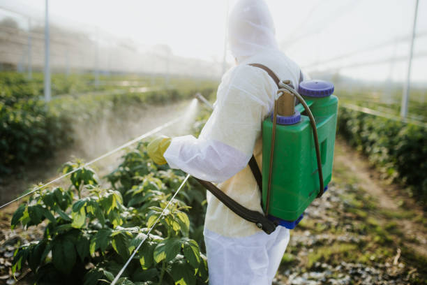 Best Exterminator Services  in Steilacoom, WA
